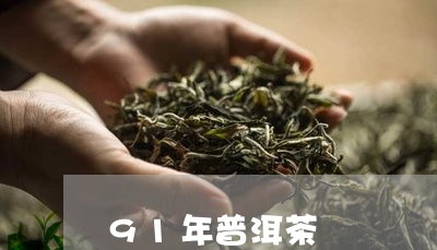 91年普洱茶/2023042653477