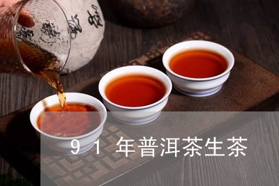 91年普洱茶生茶/2023112421592