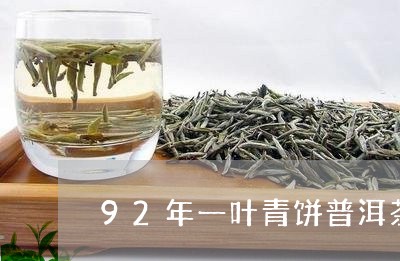 92年一叶青饼普洱茶/2023061472837