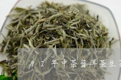 92年中茶普洱茶生茶/2023080318472