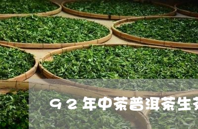 92年中茶普洱茶生茶/2023100726049