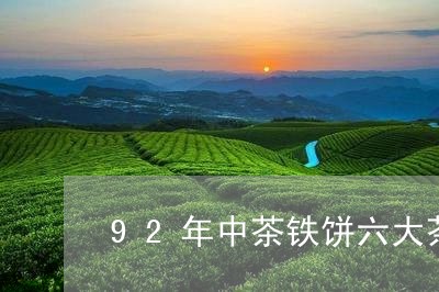 92年中茶铁饼六大茶山秘境茶价格/2023060484937