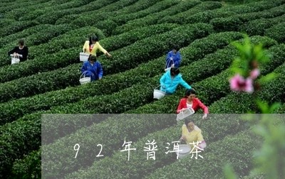 92年普洱茶/2023042756515