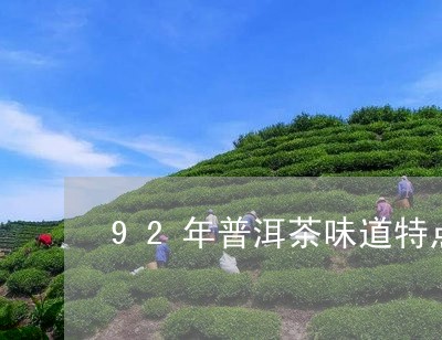 92年普洱茶味道特点介绍/2023082740592