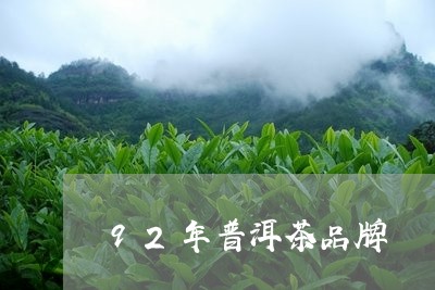 92年普洱茶品牌/2023100836261