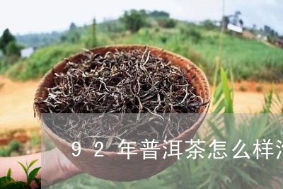 92年普洱茶怎么样泡制/2023082899303