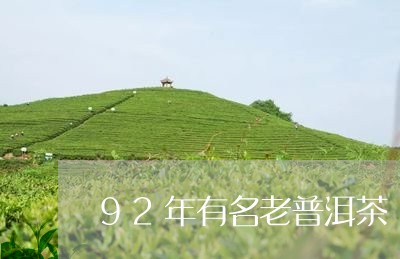 92年有名老普洱茶/2023070941705