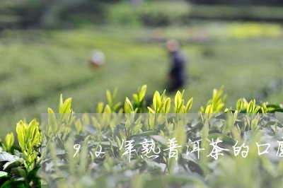 92年熟普洱茶的口感/2023092501603