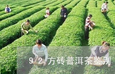 92方砖普洱茶鉴别/2023120510805