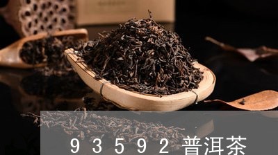 93592普洱茶/2023112605269