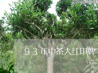 93年中茶大红印牌字/2023060935192