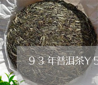 93年普洱茶Y562/2023062175960