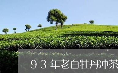 93年老白牡丹冲茶器具/2023092227482