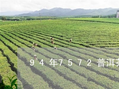 94年7572普洱茶/2023062879615