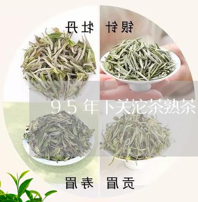 95年下关沱茶熟茶/2023042577492