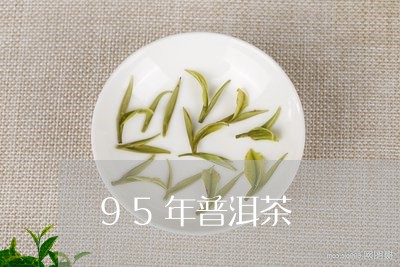 95年普洱茶/2023042994286