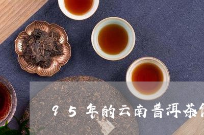 95年的云南普洱茶饼/2023061841525