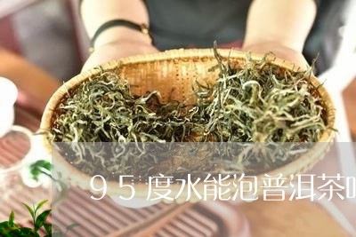 95度水能泡普洱茶吗/2023072475825