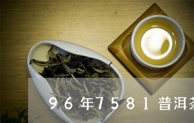 96年7581普洱茶/2023062820613