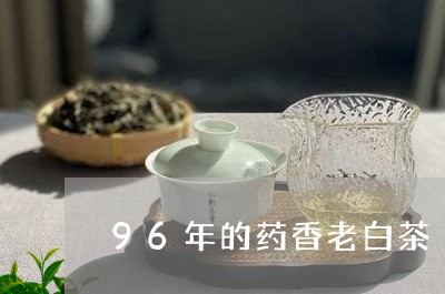 96年的药香老白茶/2023071324847