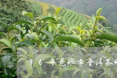 96年老班章普洱茶价格多少/2023052896381