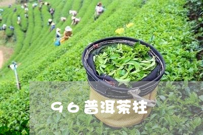 96普洱茶柱/2023042626495