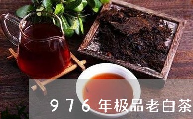 976年极品老白茶/2023071401602