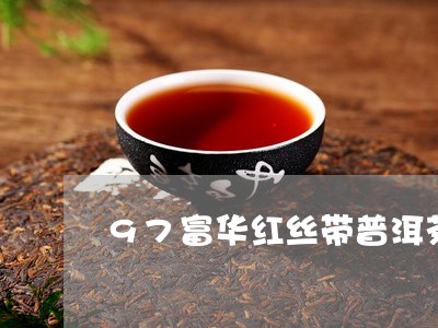 97富华红丝带普洱茶/2023062704250