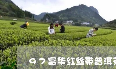 97富华红丝带普洱茶/2023080338270