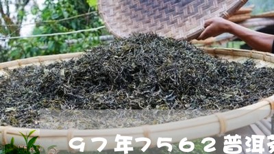 97年7562普洱茶/2023100740594