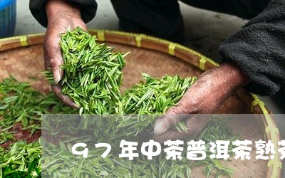 97年中茶普洱茶熟茶/2023100754028