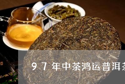 97年中茶鸿运普洱茶/2023073093957