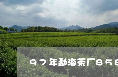 97年勐海茶厂8582价格/2023052611696