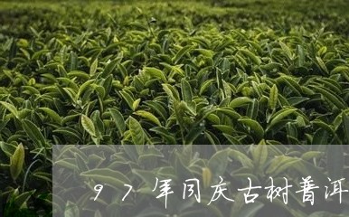 97年同庆古树普洱茶/2023062353705