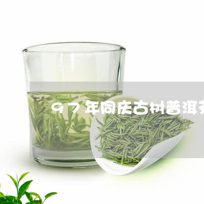 97年同庆古树普洱茶/2023073113059