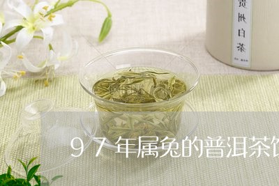 97年属兔的普洱茶饼/2023092694707