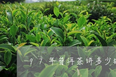 97年普洱茶饼多少钱/2023092960696