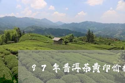 97年普洱茶黄印价格/2023093053138