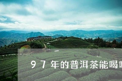 97年的普洱茶能喝吗/2023092721415