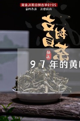 97年的黄印中茶熟普/2023092327483