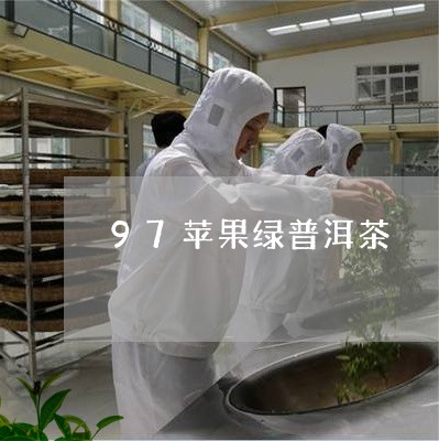 97苹果绿普洱茶/2023120494148