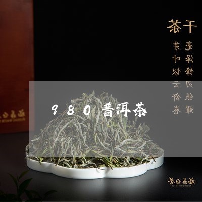 980普洱茶/2023042821979