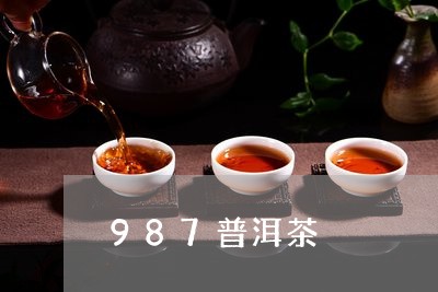 987普洱茶/2023042845361