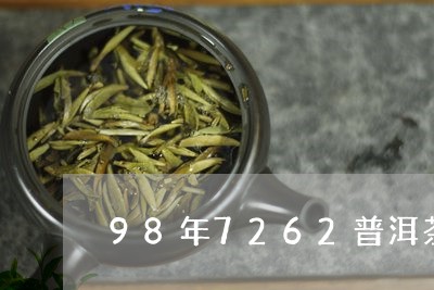 98年7262普洱茶/2023100846378