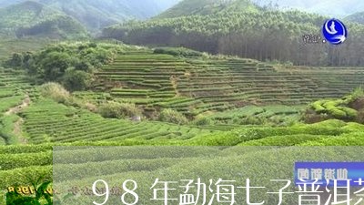 98年勐海七子普洱茶价格/2023112813704