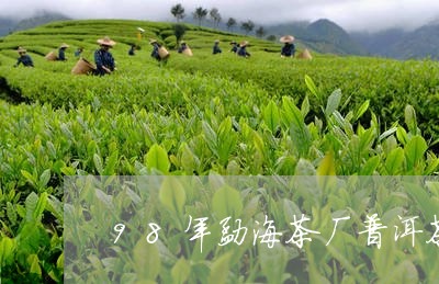 98年勐海茶厂普洱茶/2023100670571