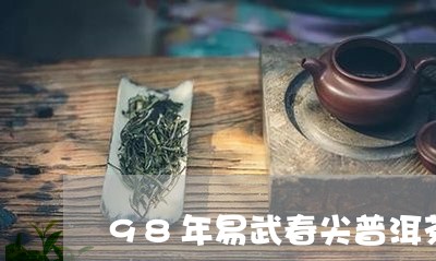 98年易武春尖普洱茶大益春尖青沱/2023060371694