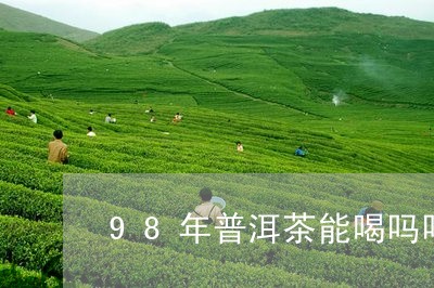 98年普洱茶能喝吗吗/2023063020402