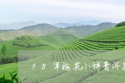 98年梅花小饼普洱茶/2023100524938