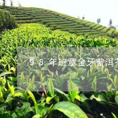 98年班章金牙普洱茶/2023062215261